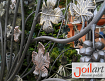 Patina Joilart1 Patina Joilart1