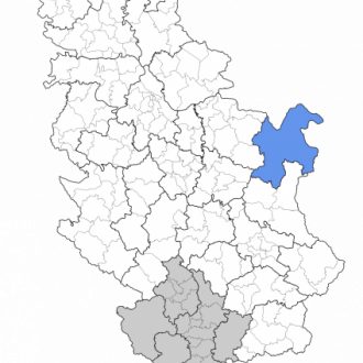 Borski okrug